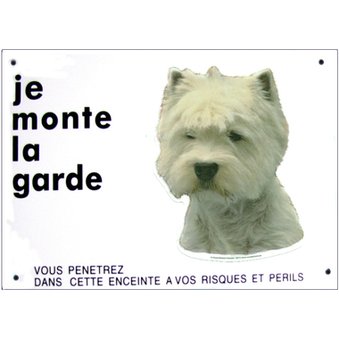 westie