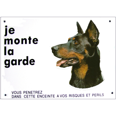 beauceron