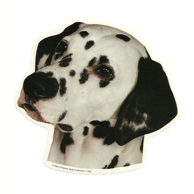dalmatien_odels