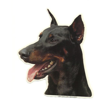 doberman_odels