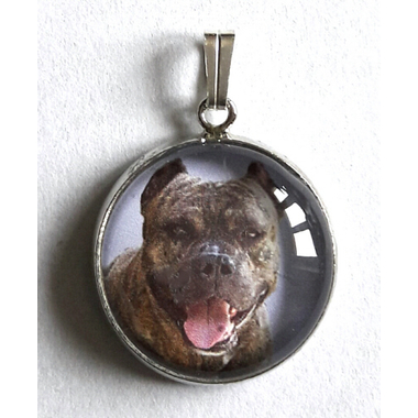 amstaff2
