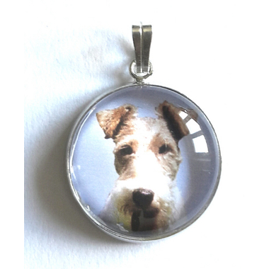 fox_terrier