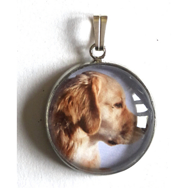 golden_retriever