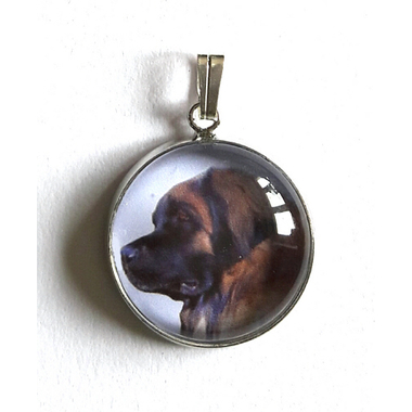 leonberg