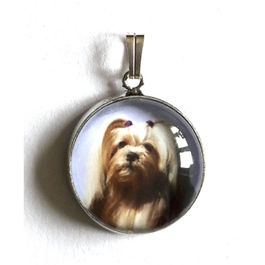 lhassa_apso