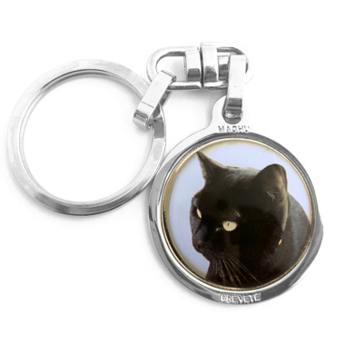 chat_noir