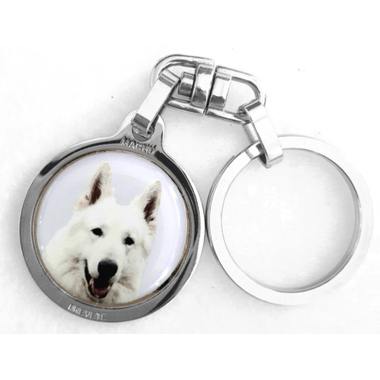 berger_blanc_suisse