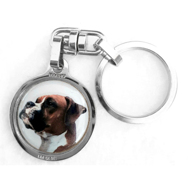 boxer