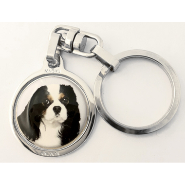 cavalier_kc