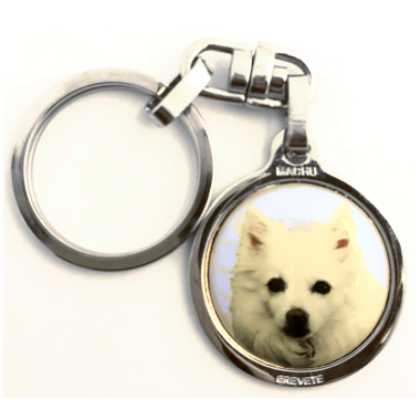 spitz