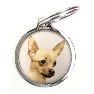 chihuahua_brun2