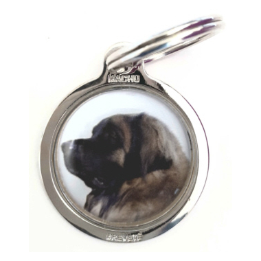 leonberg2