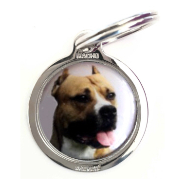 amstaff1