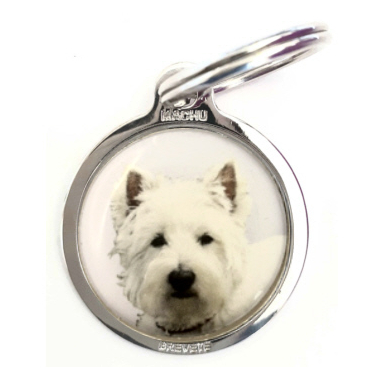 westie2