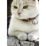 medaille-figurine-chat-0511444001387735899