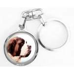 saint_bernard