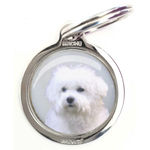 bichon2