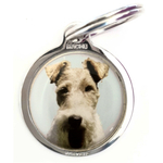 fox_terrier2