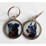 Beauceron_image