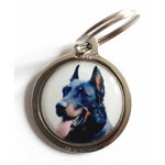 Race_chienBeauceron3