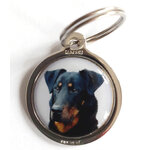 Race_chienBeauceron4