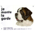 saint_bernard