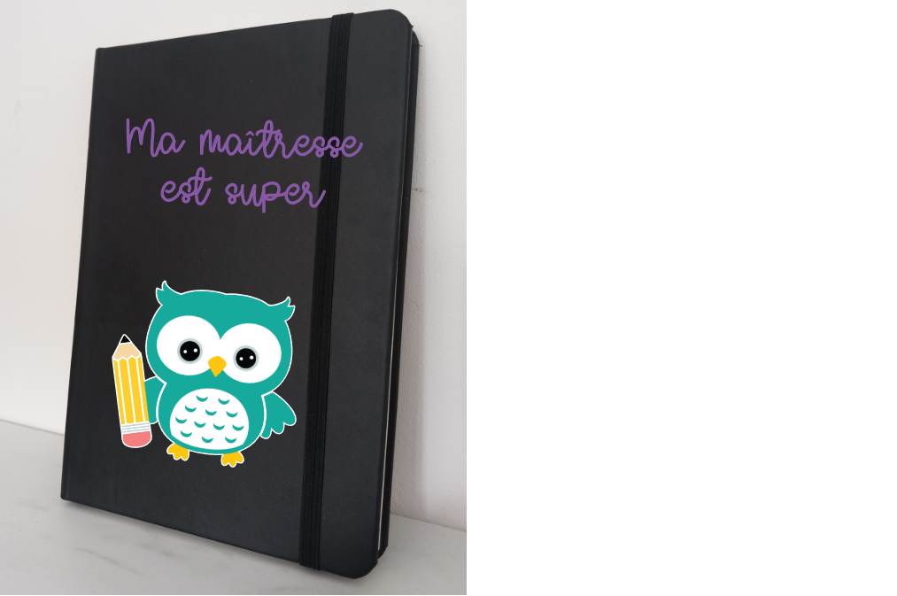 Carnet chouette turquoise