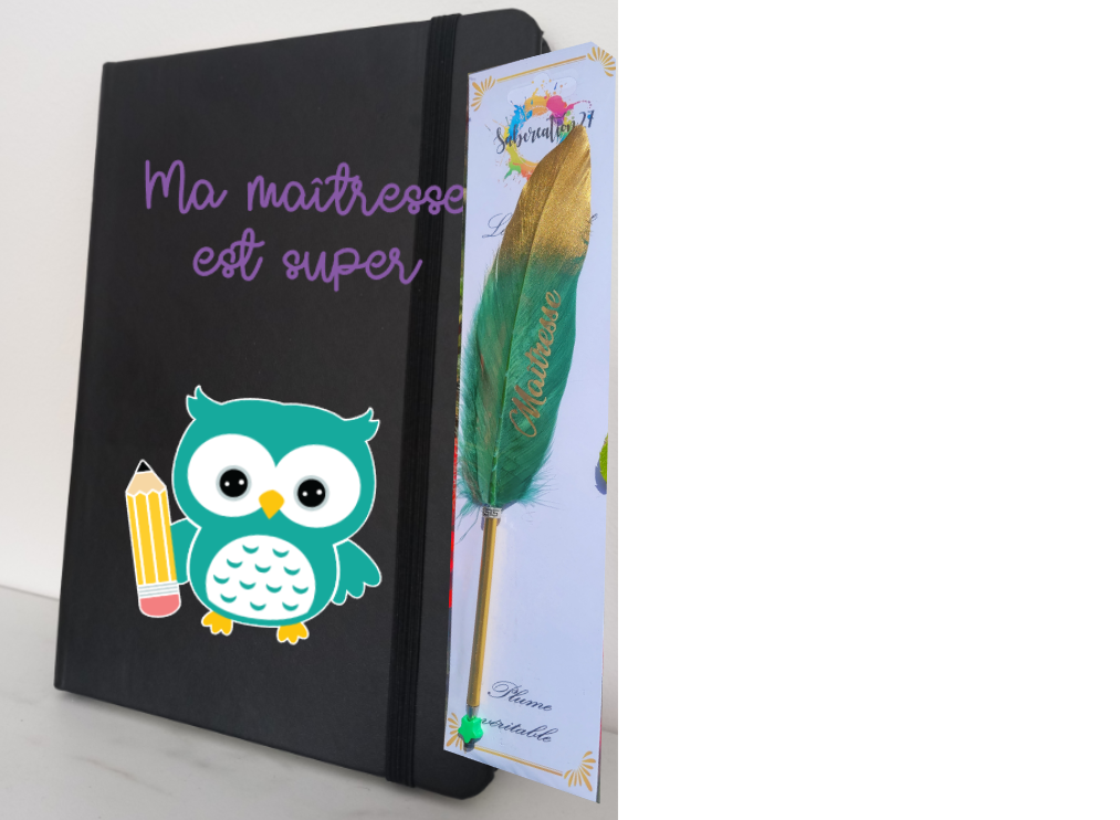 Duo chouette turquoise et plume