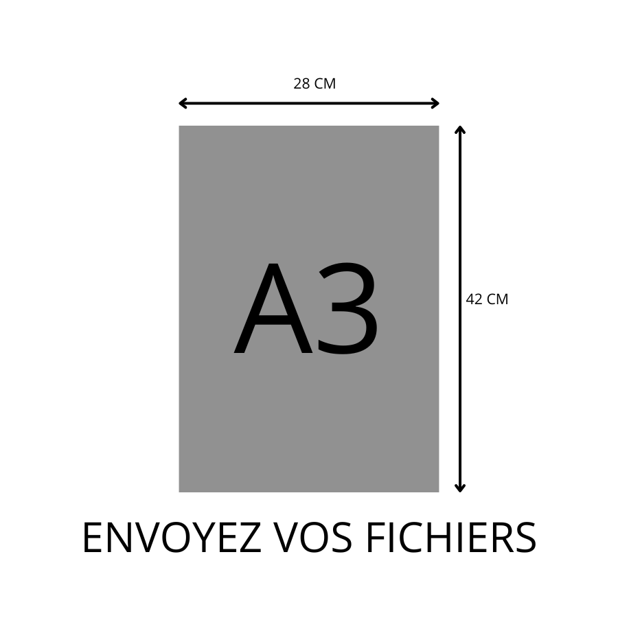 DTF A3