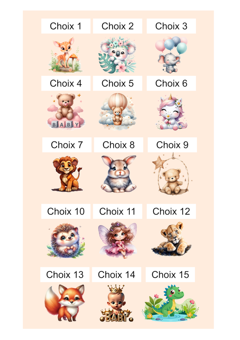 modelechoix