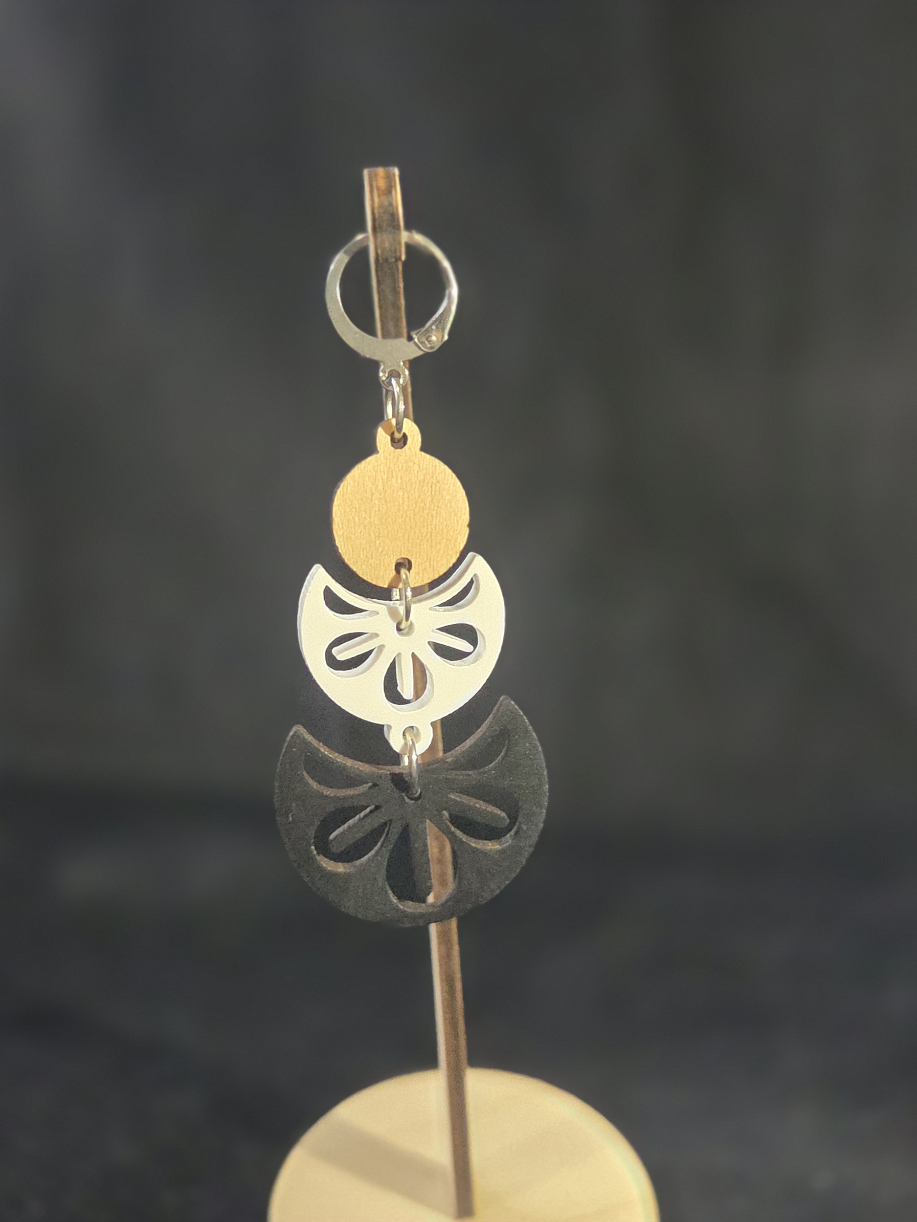 Boucles dOreilles en bois et acrylique