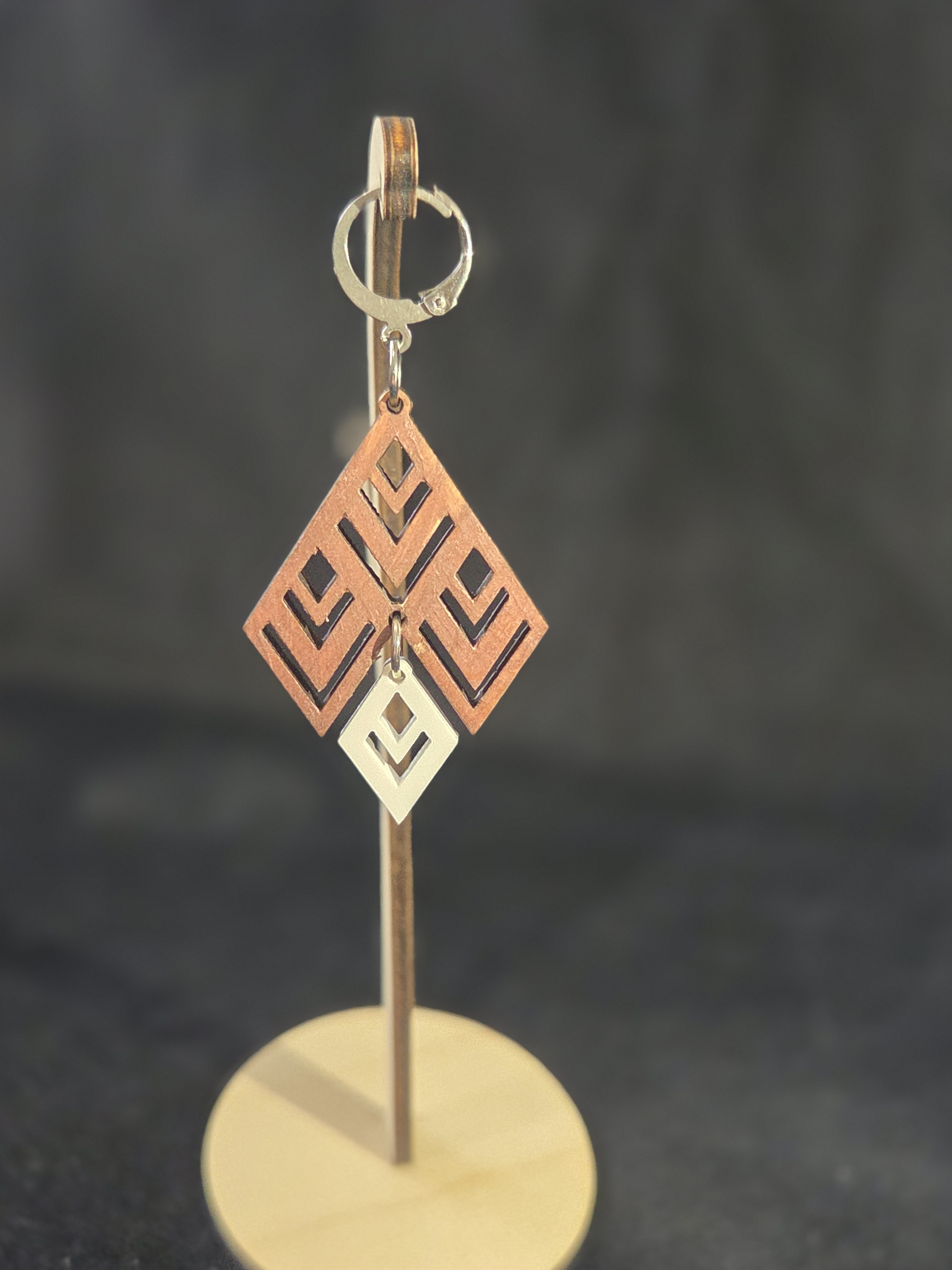 Boucles dOreilles en bois et acrylique