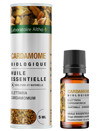 La cardamome - Tout sur la cardamome (Elettaria cardamomum), origine,  propriétés et utilisation en cuisine