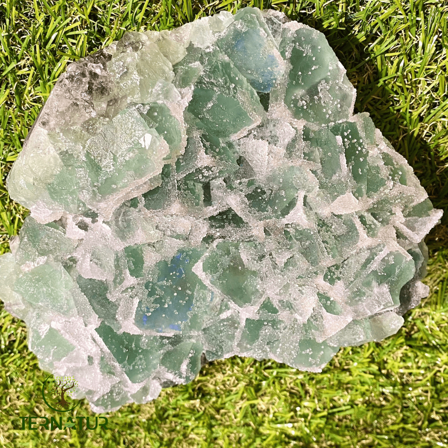 fluorite-fluorine-verte-brute-ternatur