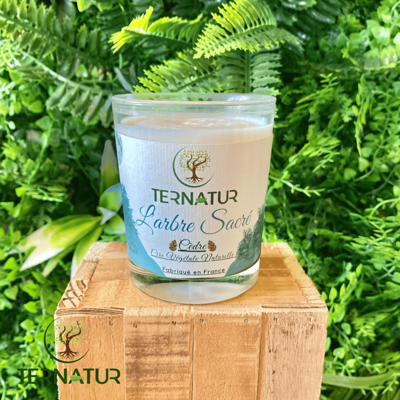 bougie-végétale-cèdre-ternatur