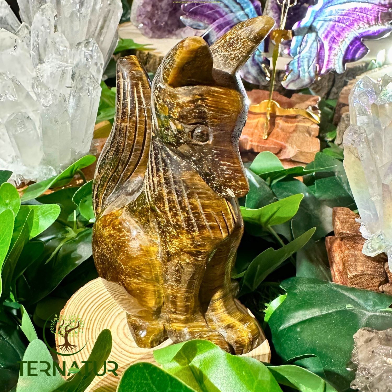 renard-animal-totem