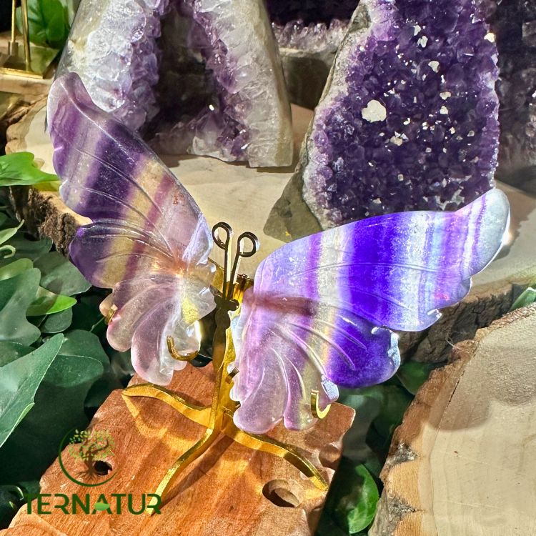 papillon-fluorite
