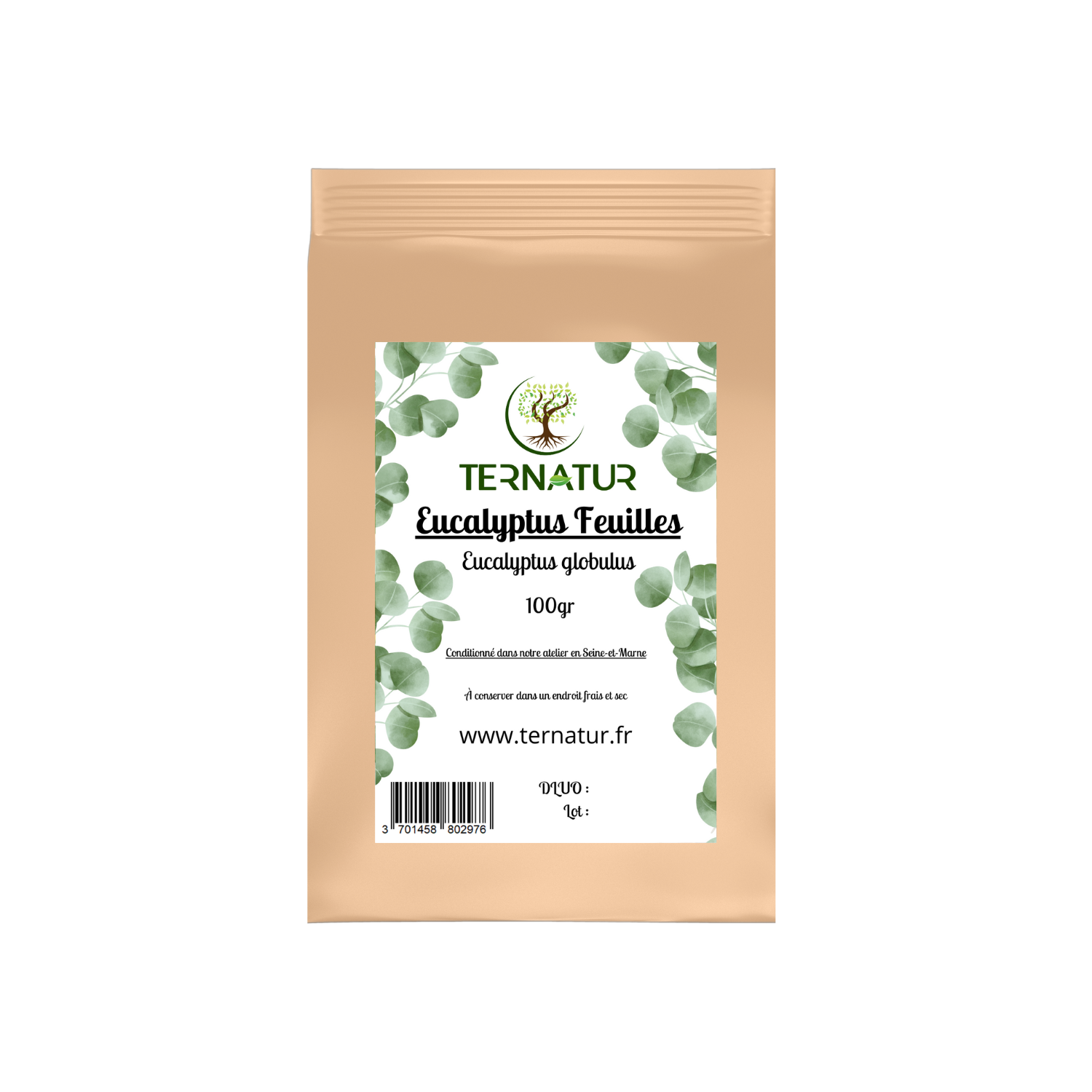 eucalyptus-tisane-infusion