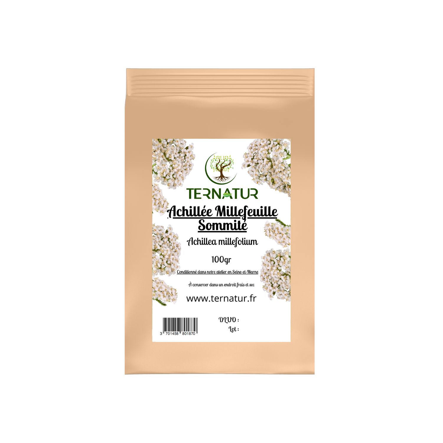 achille-millefeuille-infusion-tisane