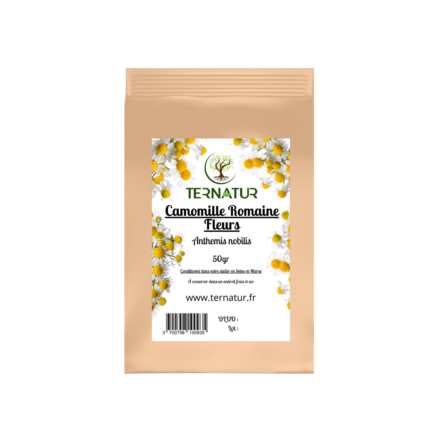 camomille-romaine-tisane-infusion