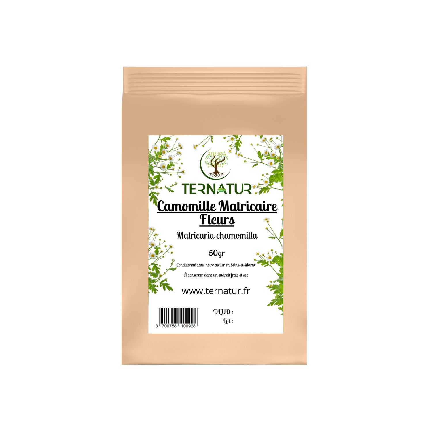 camomille-matricaire-tisane-infusion