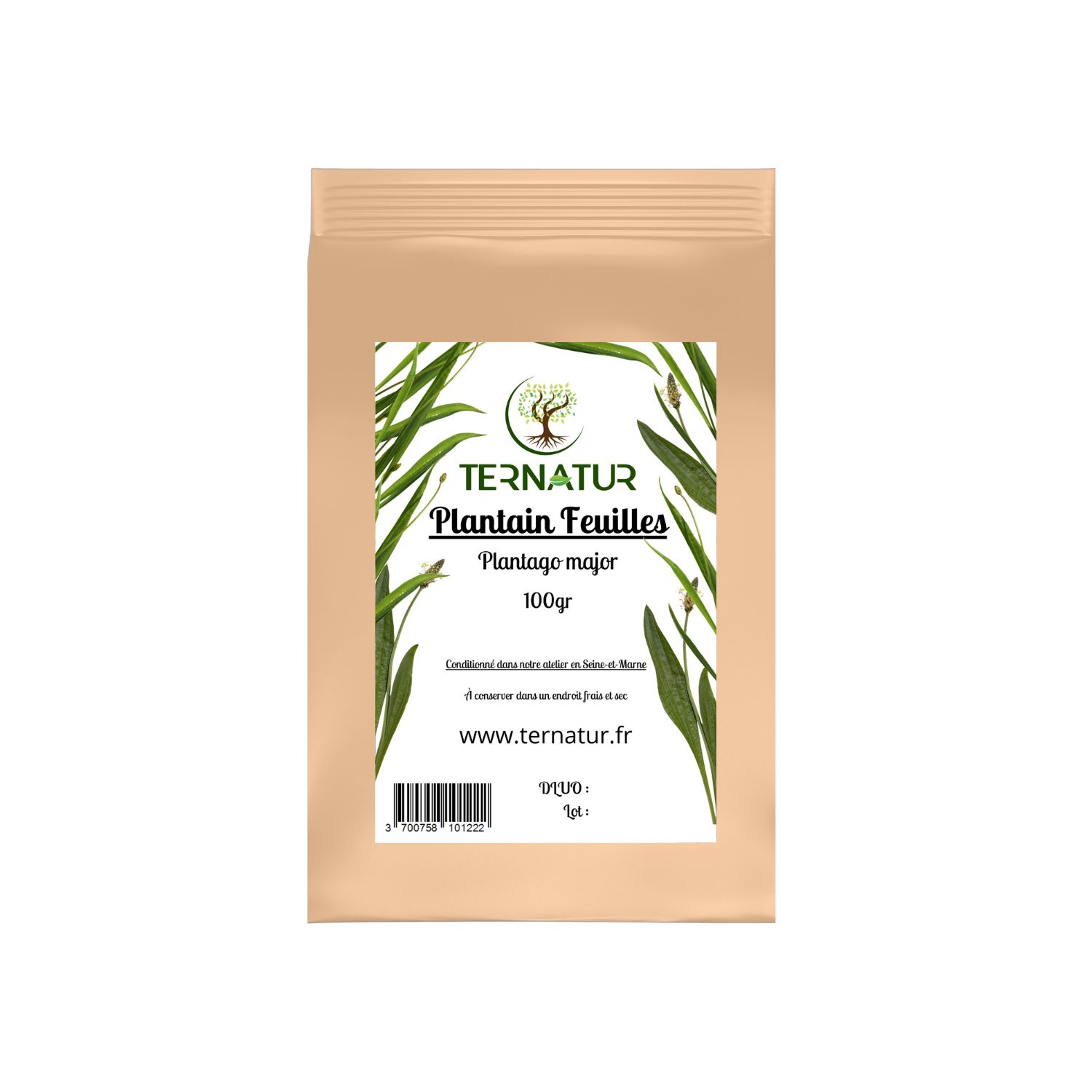 plantain-tisane-infusion