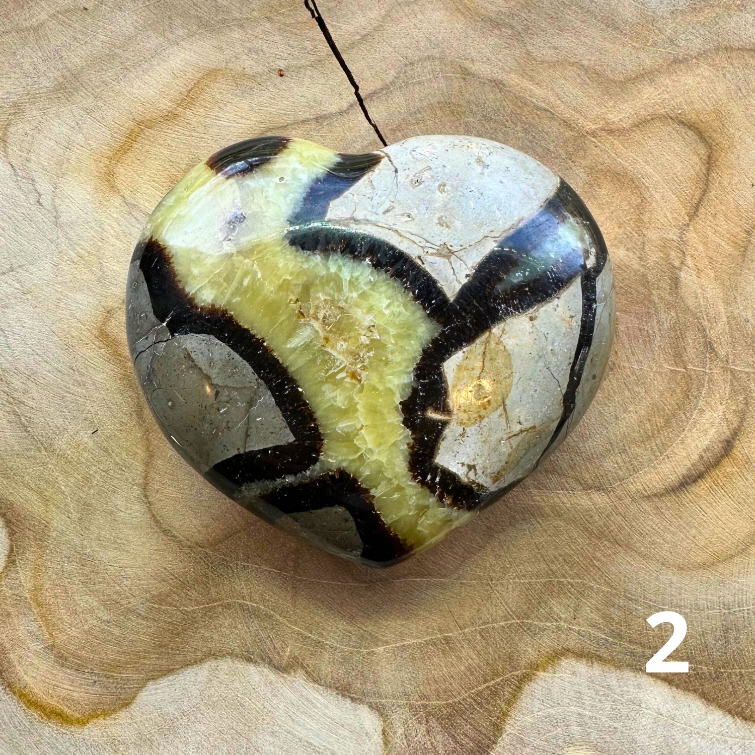 septaria_coeur