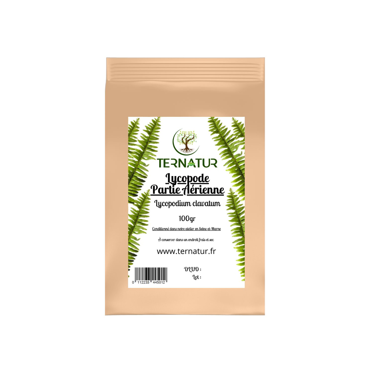 lycopode-tisane-infusion