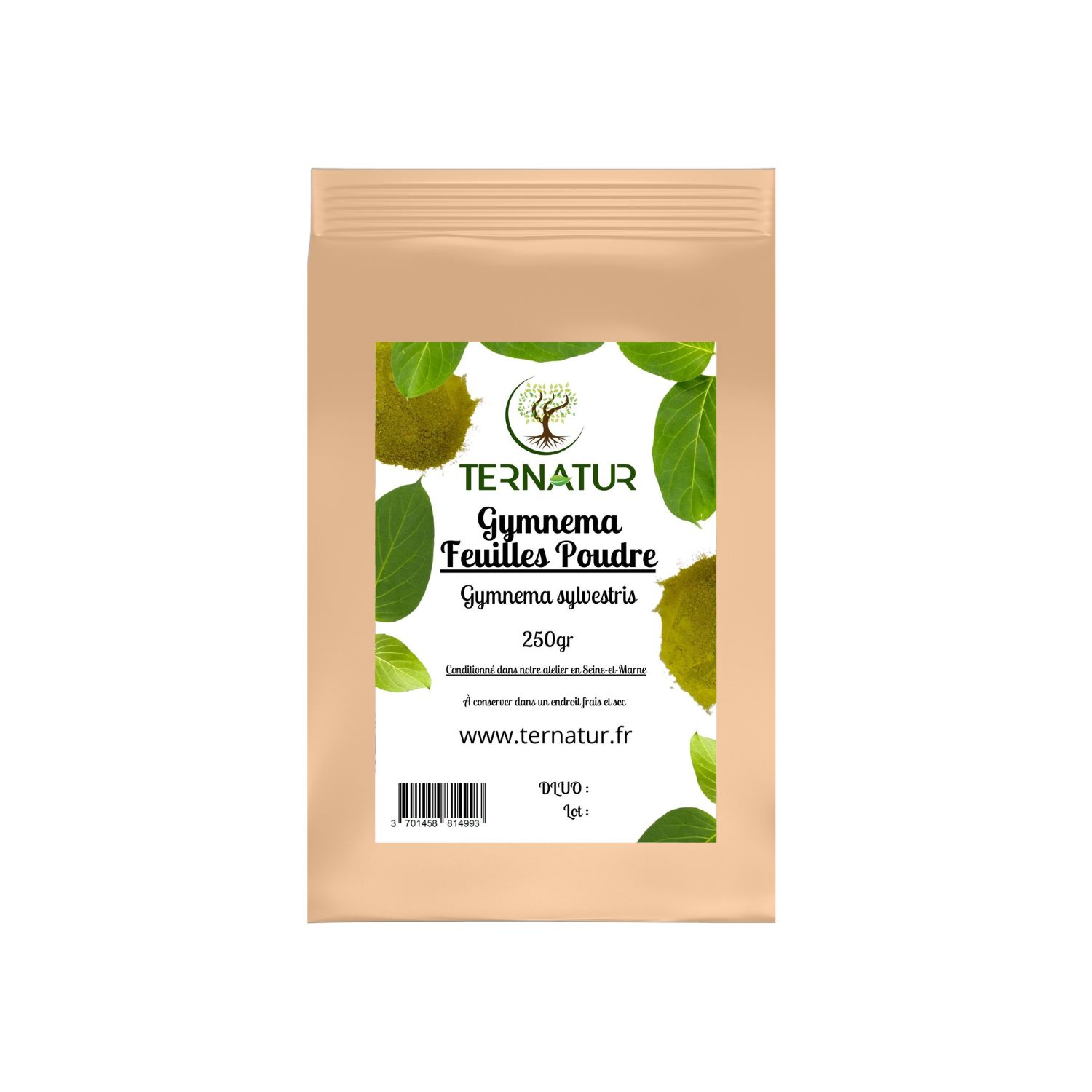 gymnema-tisane-infusion