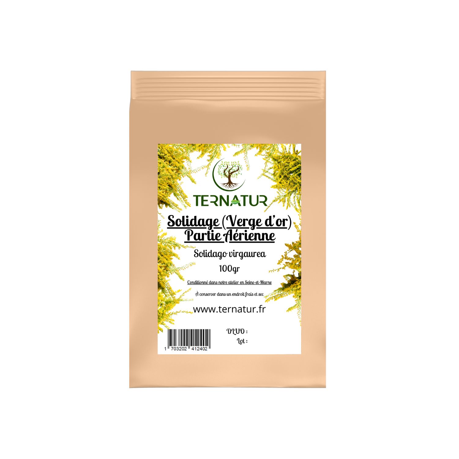 solidage-verge-dor-tisane-infusion