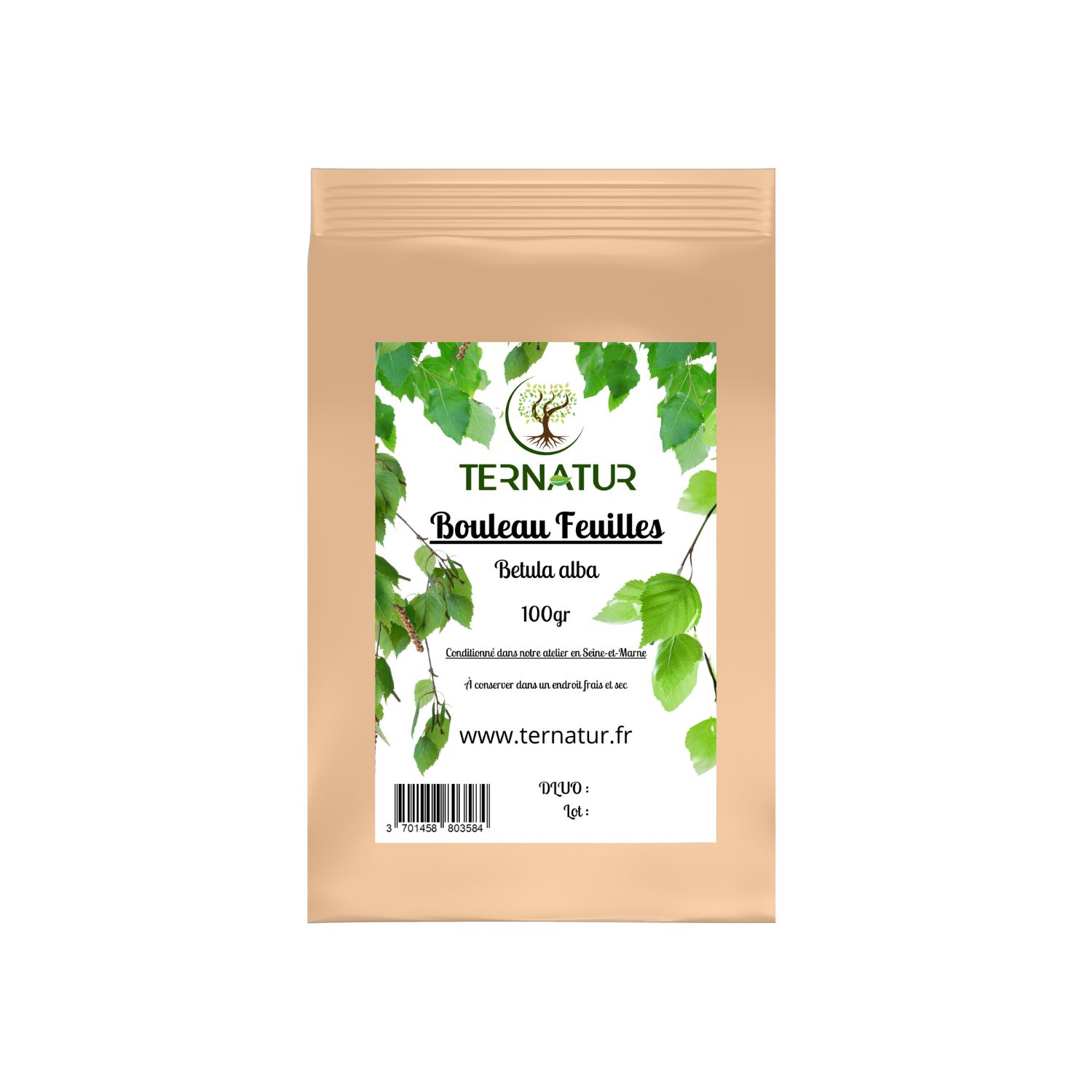 bouleau-feuilles-tisane-infusion