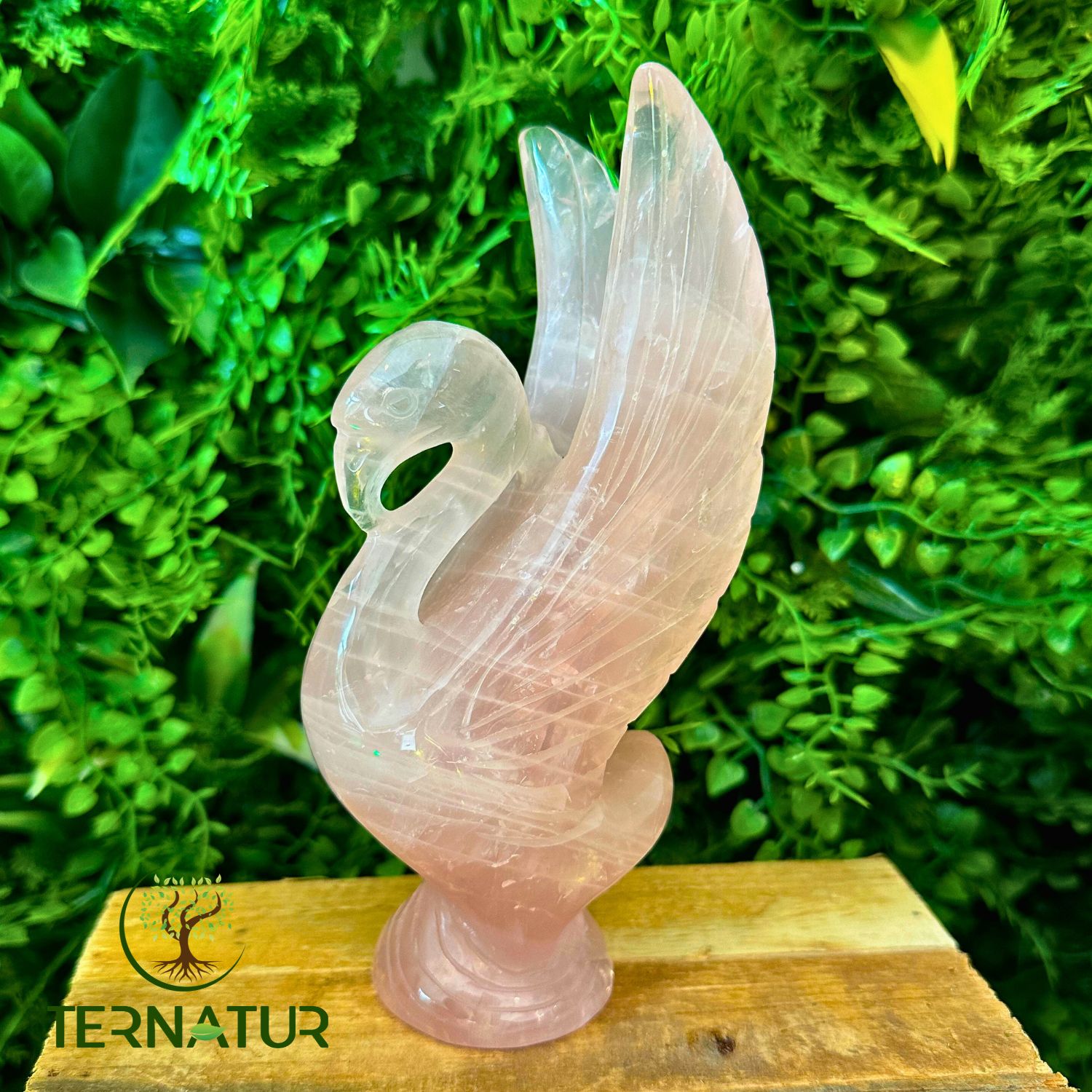 cygne-quartz-rose