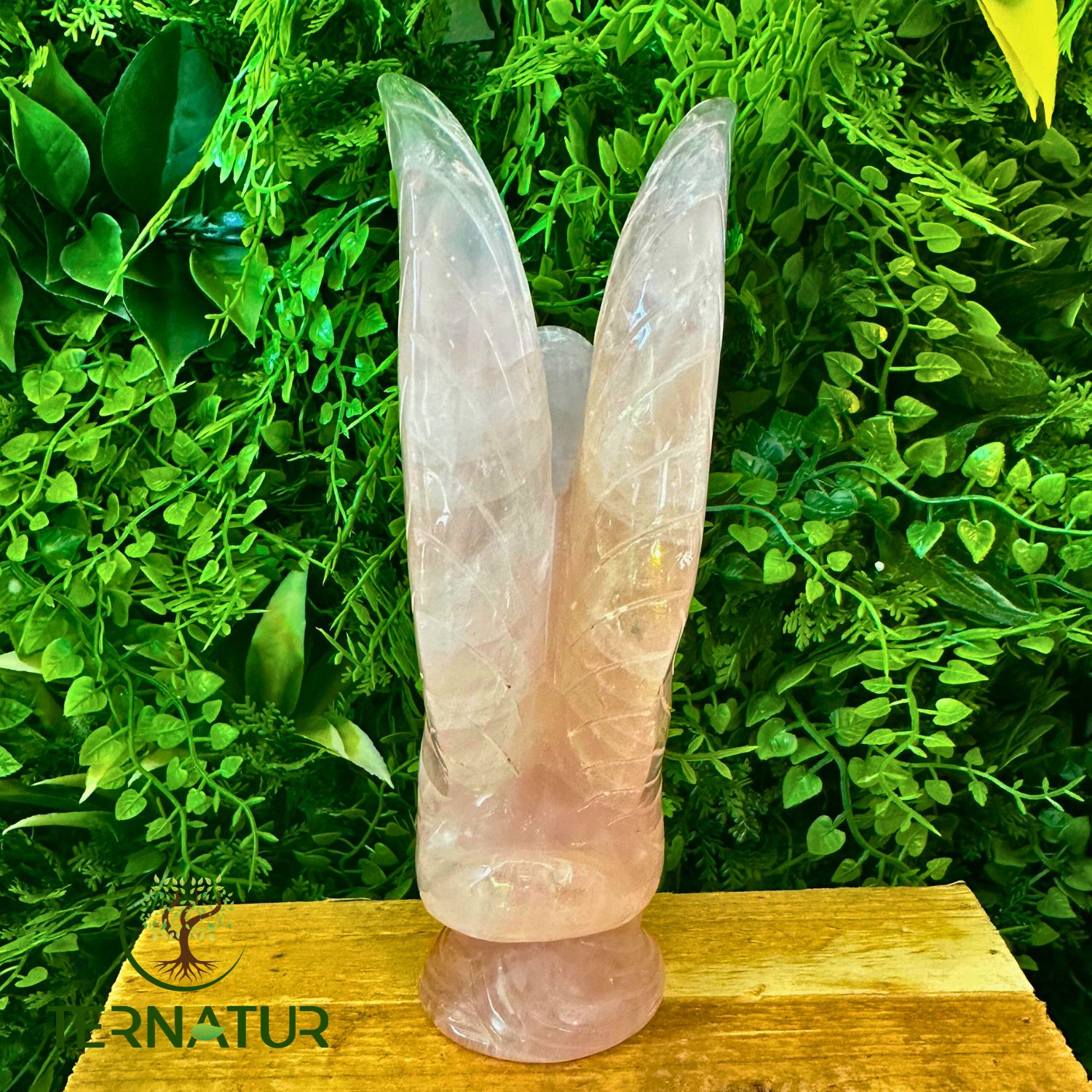 cygne-quartz