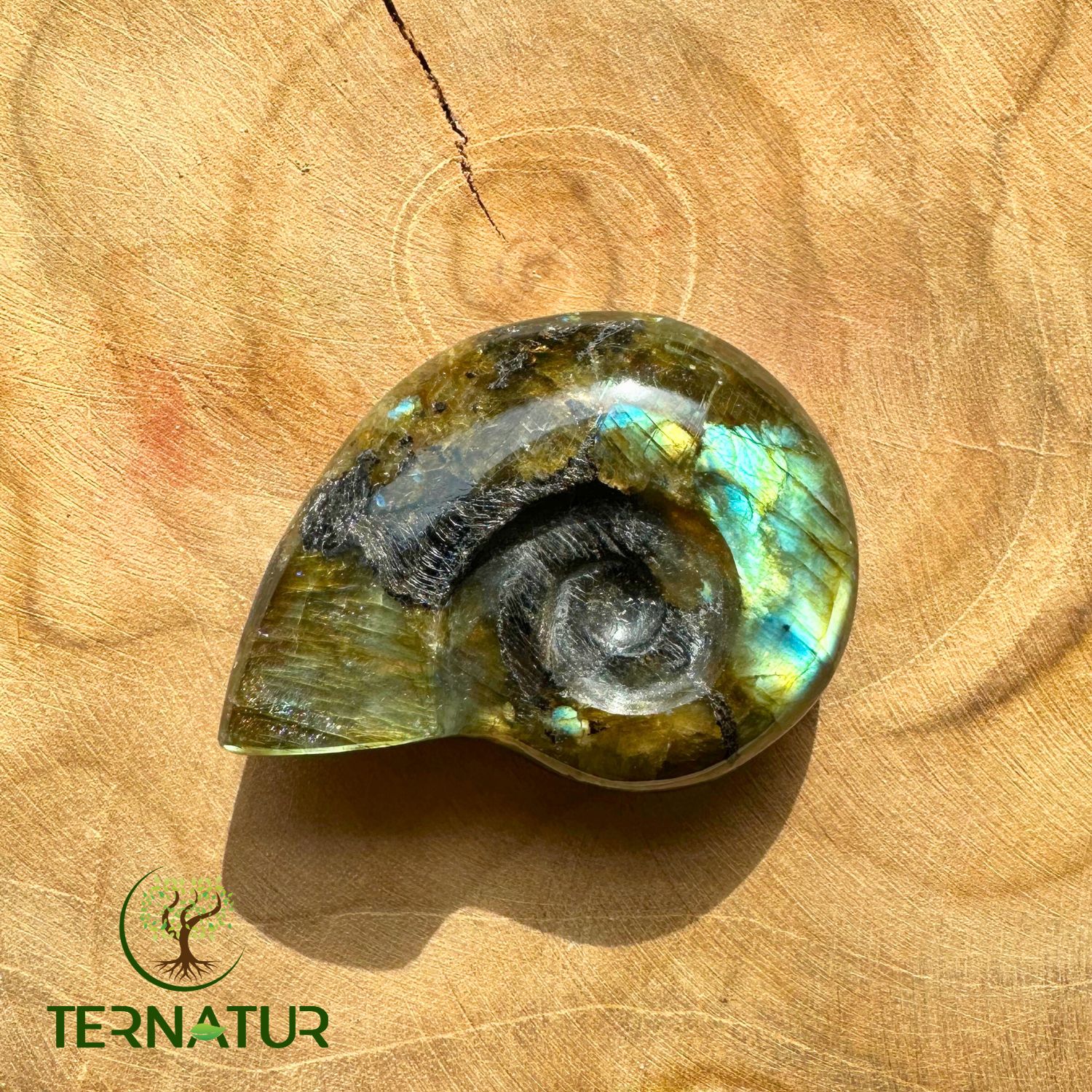 labradorite-ammonite